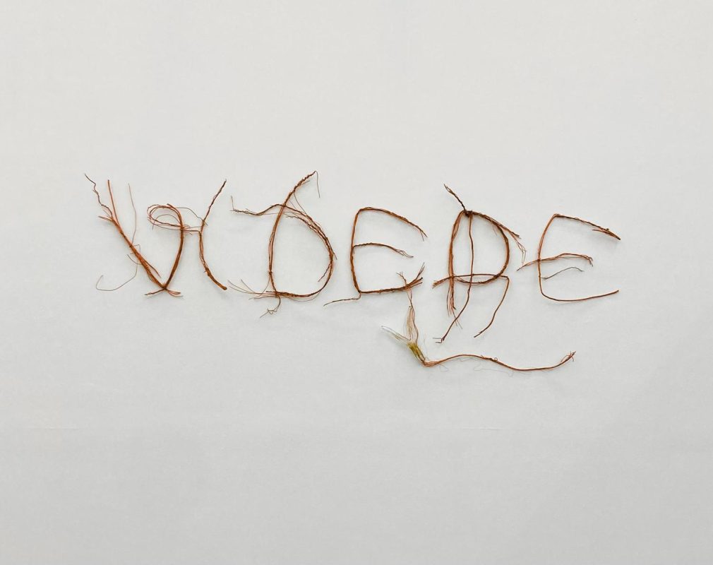 WhatsApp Image 2025-02-27 at 15.03.19